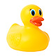 Rubber Duck Rubber Duck - GraphicRiver Item for Sale
