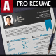 Professional Resume Professional Resume - GraphicRiver Item for Sale