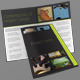 24page brochure - InDesign 24page brochure - InDesign - GraphicRiver Item for Sale