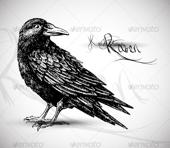 GraphicRiver Raven drawing vector 124664 GraphicRiver Raven drawing vector 124664