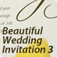 Beautiful Wedding Invitation 3 Beautiful Wedding Invitation 3 - GraphicRiver Item for Sale
