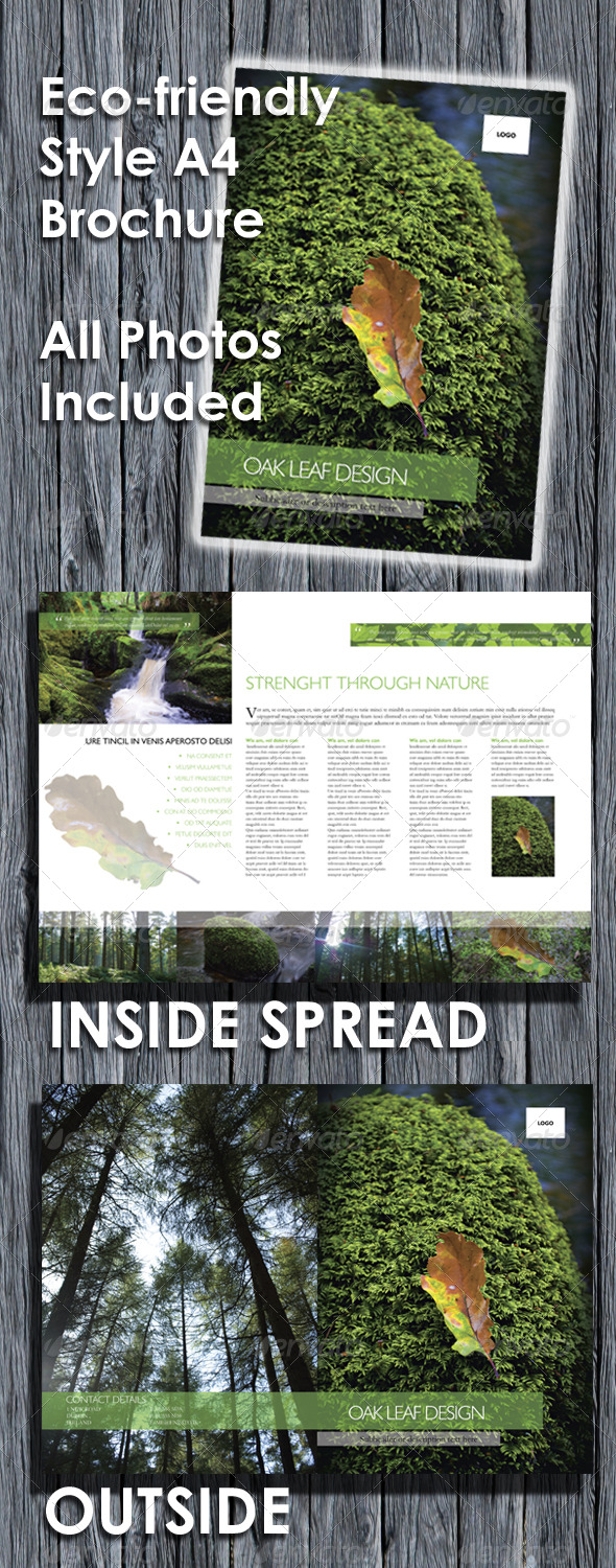 GraphicRiver Eco-friendly A4 Brochure 138659