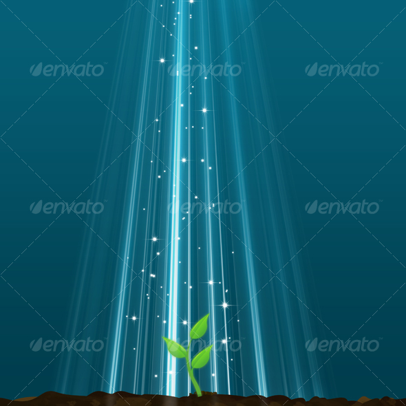 GraphicRiver New Life From A Magic Light 38073 GraphicRiver New Life From A Magic Light 38073