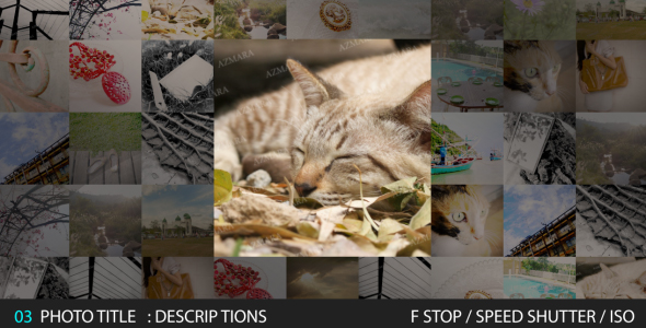 After Effects Project - VideoHive Square Photo SlideShow 143900 After Effects Project - VideoHive Square Photo SlideShow 143900