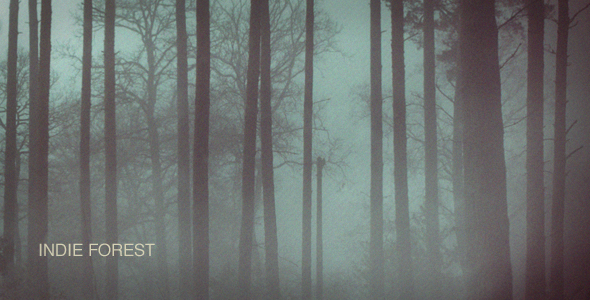 After Effects Project - VideoHive Indie Forest 143980 After Effects Project - VideoHive Indie Forest 143980