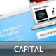 Capital (PSD Theme) Capital (PSD Theme) - ThemeForest Item for Sale