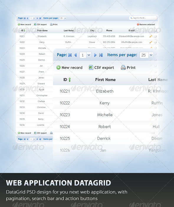 GraphicRiver Web Application Datagrid 165354 GraphicRiver Web Application Datagrid 165354