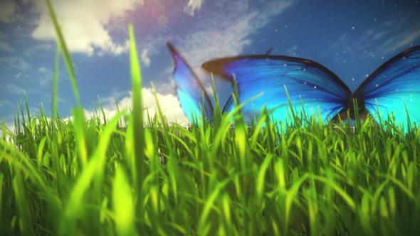 TutsPlus Whimsical Grassy Field Butterfly Scene Part 1 166066 TutsPlus Whimsical Grassy Field Butterfly Scene Part 1 166066