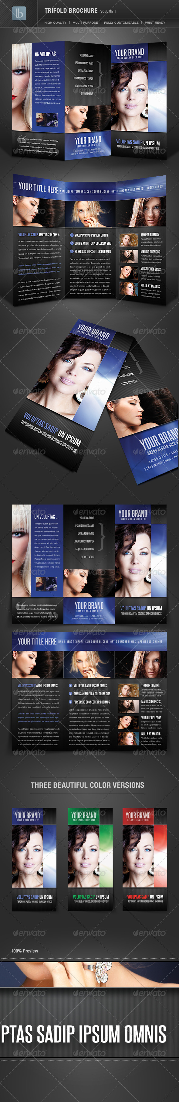 GraphicRiver Trifold Brochure Volume 1 1206551 GraphicRiver Trifold Brochure Volume 1 1206551