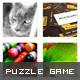 Dynamic Puzzle Gallery Dynamic Puzzle Gallery - ActiveDen Item for Sale