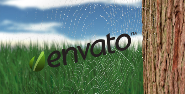 VideoHive Caught in the Web 1574045 VideoHive Caught in the Web 1574045