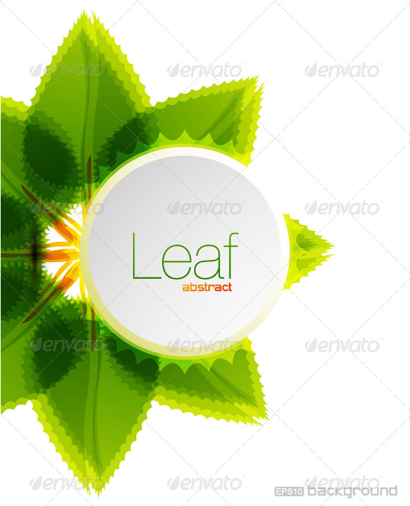 GraphicRiver Leaf vector background design 191049 GraphicRiver Leaf vector background design 191049