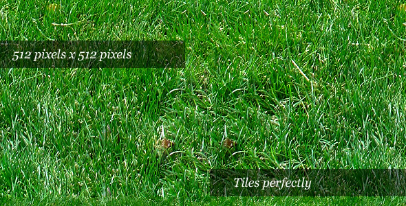 3DOcean Grass Texture II 74025 3DOcean Grass Texture II 74025