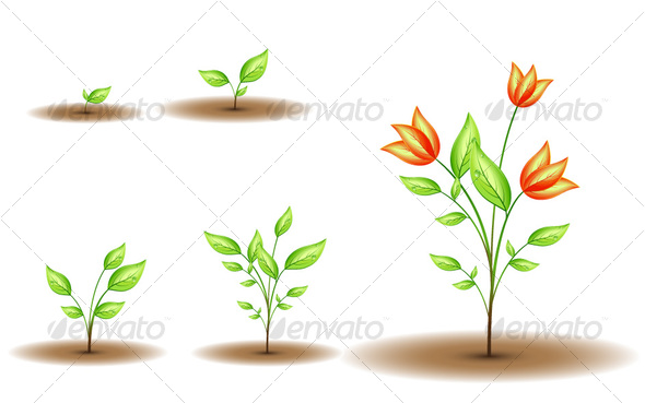 flower growing clipart - photo #34