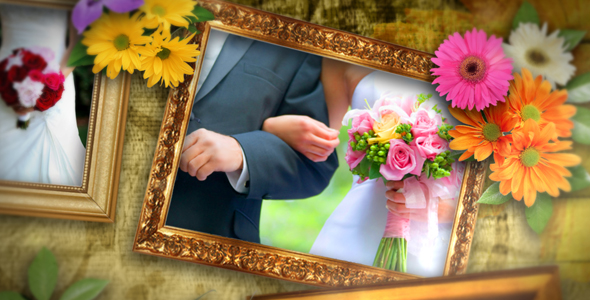 After Effects Project - VideoHive The Flowers 232685 After Effects Project - VideoHive The Flowers 232685