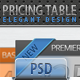 Elegant and Clean Pricing Table Design Elegant and Clean Pricing Table Design - GraphicRiver Item for Sale
