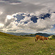 HDRi Images Nature HDRi Images Nature - 3DOcean Item for Sale