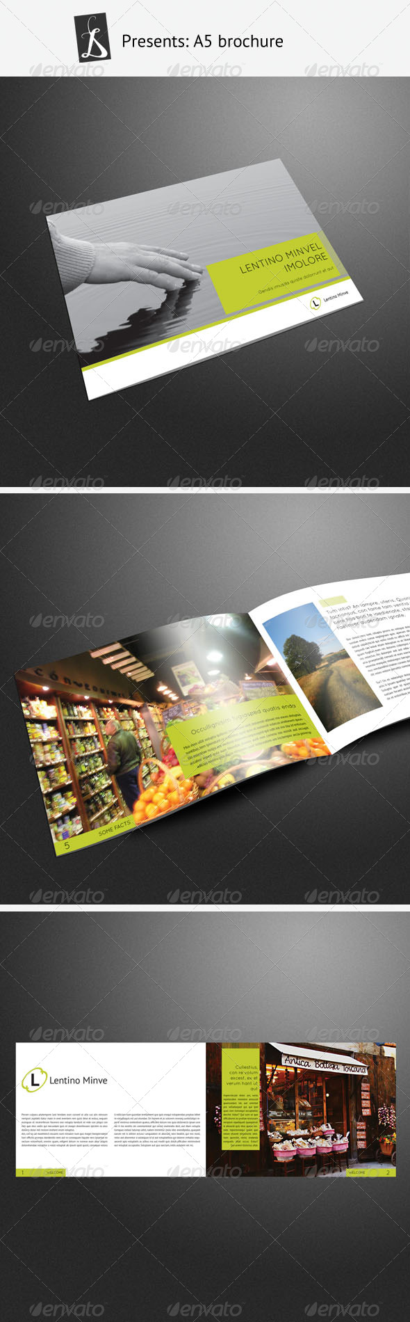 GraphicRiver A5 brochure 244185 GraphicRiver A5 brochure 244185