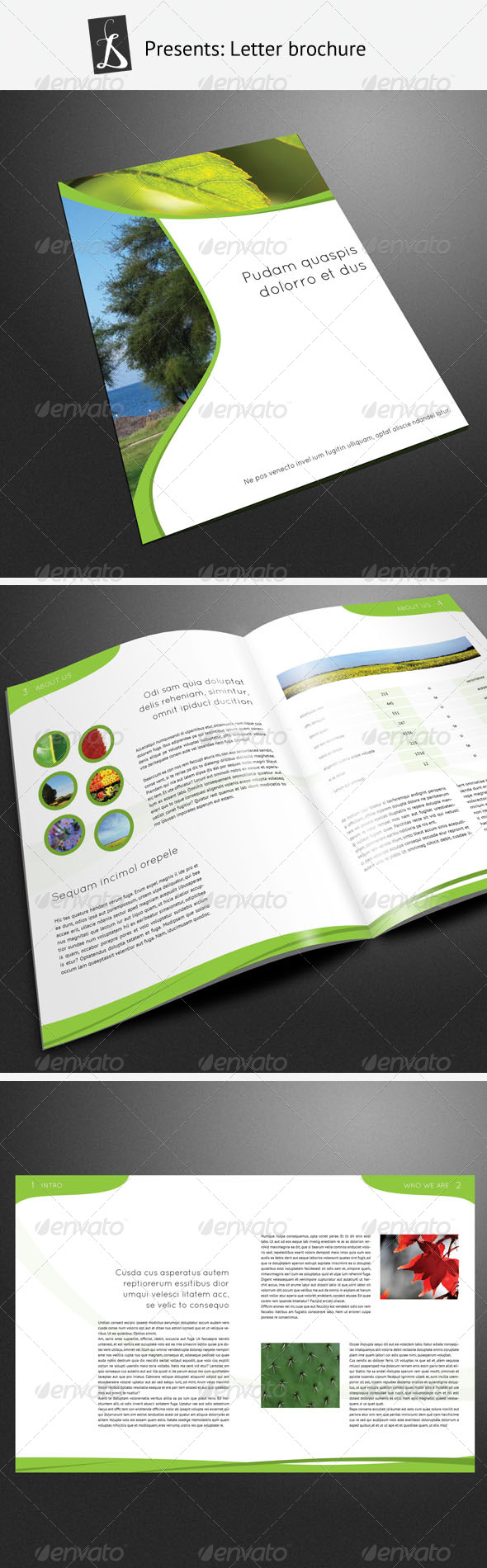 GraphicRiver Corporate Brochure 5 246368 GraphicRiver Corporate Brochure 5 246368
