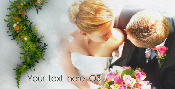 VideoHive New Life Wedding Album 2 2280475 VideoHive New Life Wedding Album 2 2280475