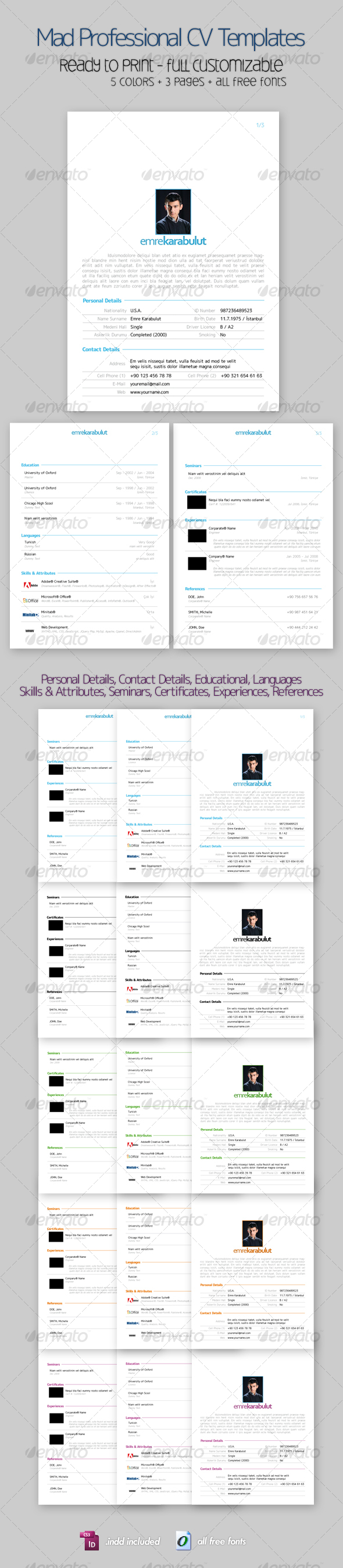 GraphicRiver Mad Professional Cv Template with 5 Color 3 Pages 85066 GraphicRiver Mad Professional Cv Template with 5 Color 3 Pages 85066
