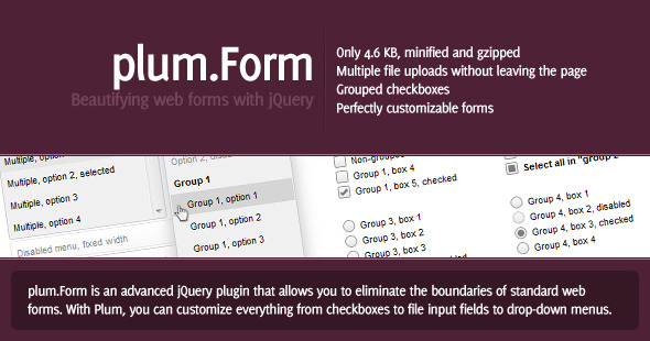 CodeCanyon plum.Form -Rip CodeCanyon plum.Form -Rip