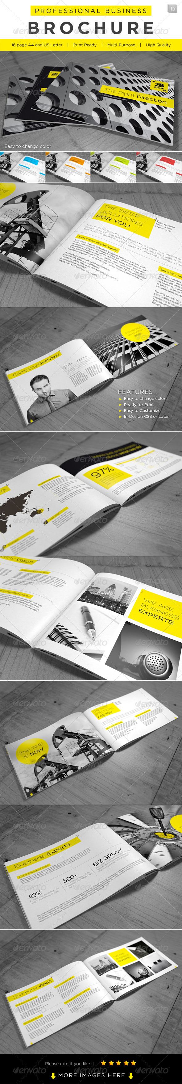 GraphicRiver Professional Business Brochure 2421295 GraphicRiver Professional Business Brochure 2421295