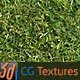 Grass Lawn Hi-Res Texture 01 Grass Lawn Hi-Res Texture 01 - 3DOcean Item for Sale