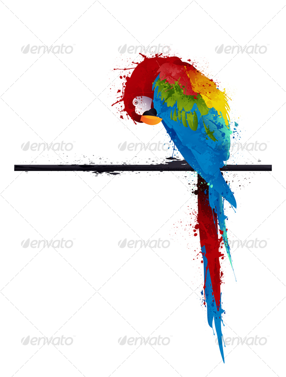 GraphicRiver Vector Parrot Parakeet Graffiti 95343 GraphicRiver Vector Parrot Parakeet Graffiti 95343