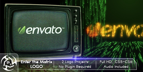 VideoHive Enter The Matrix Logo 2729259 VideoHive Enter The Matrix Logo 2729259