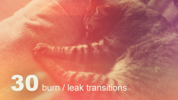 VideoHive 30 Burn Leak Transitions 2827012 VideoHive 30 Burn Leak Transitions 2827012
