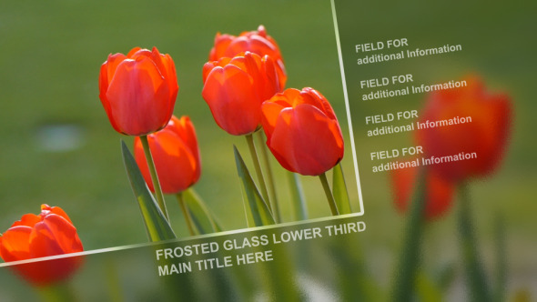 VideoHive Frosted Glass Lower Third Pack 2813264 VideoHive Frosted Glass Lower Third Pack 2813264