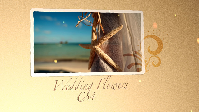 After Effects Project - VideoHive Wedding Flowers CS4 309125 After Effects Project - VideoHive Wedding Flowers CS4 309125