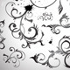 Floral design elements Floral design elements - GraphicRiver Item for Sale