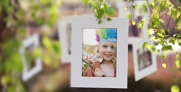 After Effects Project - VideoHive Photo Gallery on a Sunny Afternoon 320901 ...