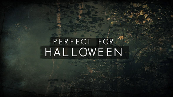 After Effects Project - VideoHive Dark Woods and Text 3225451