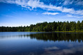 Forest Lake Forest Lake - PhotoDune Item for Sale