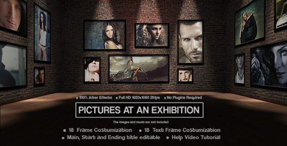 VideoHive Picture at an Exhibition 3271104 VideoHive Picture at an Exhibition 3271104