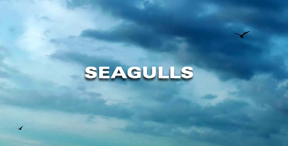 VideoHive Seagulls 3414889