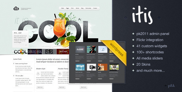 WordPress Itis Theme