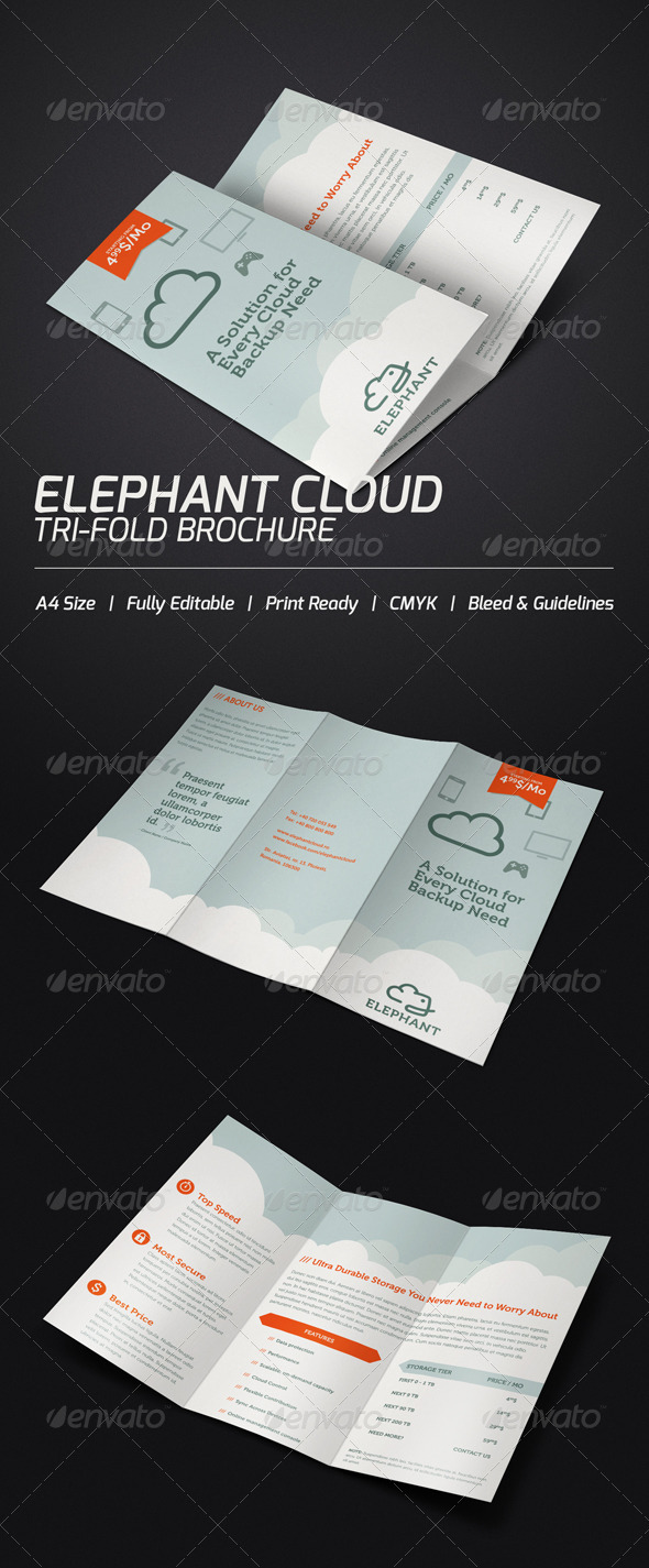 GraphicRiver Elephant Cloud Tri-fold Brochure 3638647 GraphicRiver Elephant Cloud Tri-fold Brochure 3638647