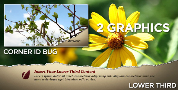 After Effects Project - VideoHive Torn Lower Third 409877 After Effects Project - VideoHive Torn Lower Third 409877