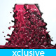 Fluid Reveal Fluid Reveal - VideoHive Item for Sale