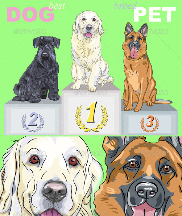 GraphicRiver Vector Happy Dog Champion on the Podium 4079648 GraphicRiver Vector Happy Dog Champion on the Podium 4079648