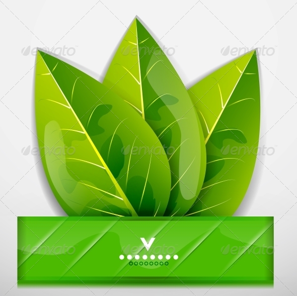 GraphicRiver Green Leaves Nature Design 4084699 GraphicRiver Green Leaves Nature Design 4084699