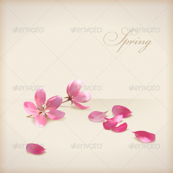 GraphicRiver Cherry Blossom Flowers 4339460