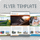 Business Flyer Template in 3 Color Variations Business Flyer Template in 3 Color Variations - GraphicRiver Item for Sale