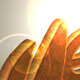 3D Logo Rolling 3D Logo Rolling - VideoHive Item for Sale