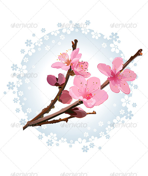 GraphicRiver Cherry Blossom 4998318