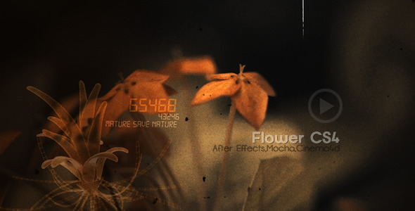 After Effects Project - VideoHive Flowers CS4 516680 After Effects Project - VideoHive Flowers CS4 516680